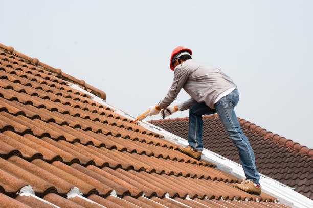 Reliable Abbeville, GA Roofing services Solutions